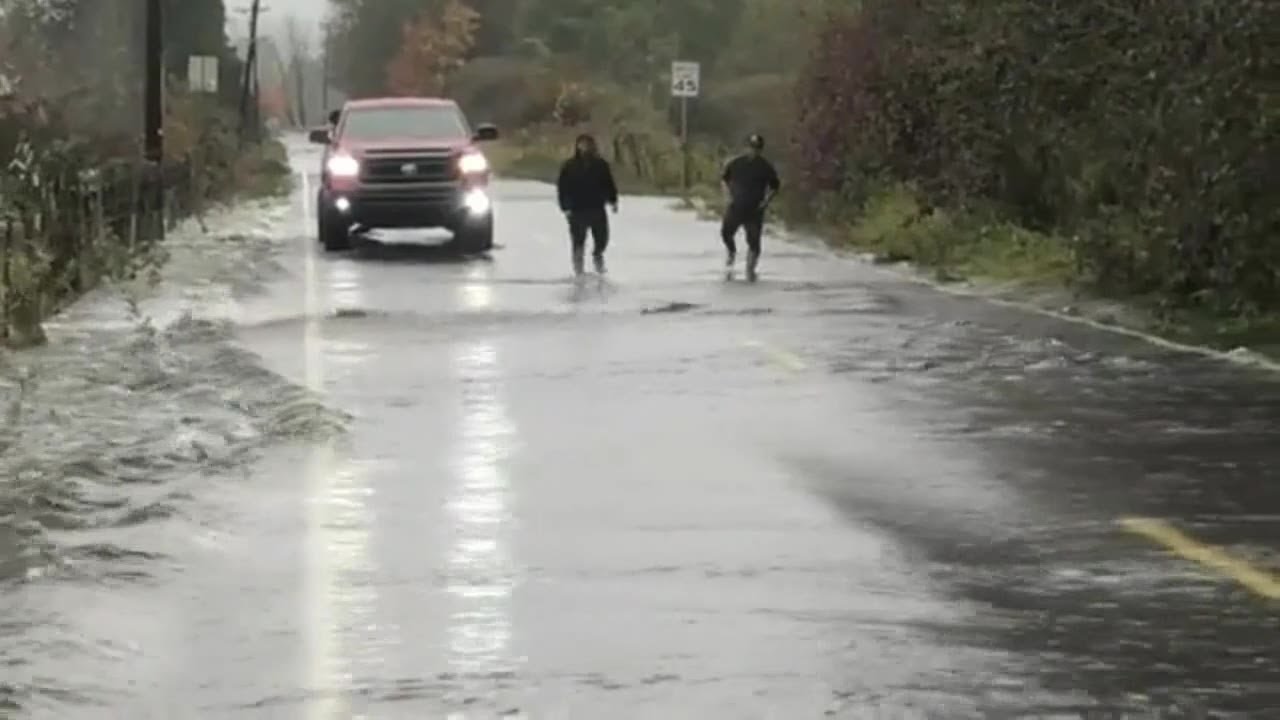 Salmon cross flooded road in Washington state | FOX 13 Seattle