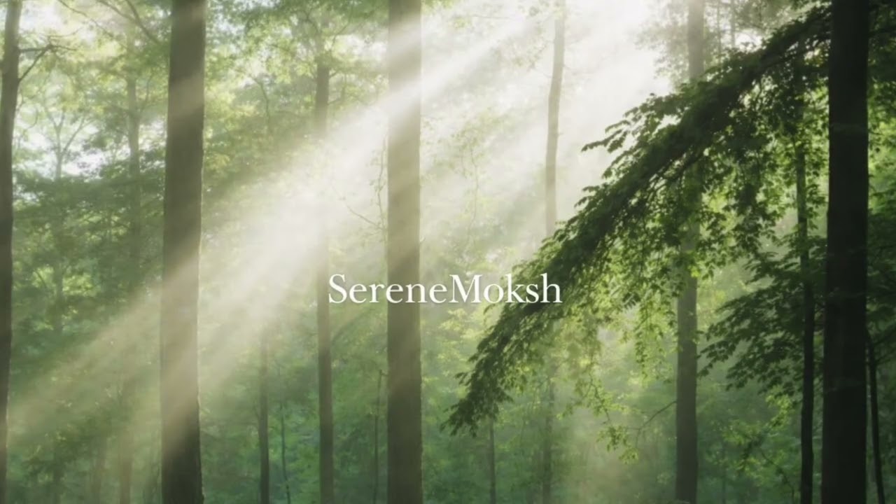 Peaceful Music II Calm, Instrumental II PEACEFUL SERENEMOKSH II Study Work Music