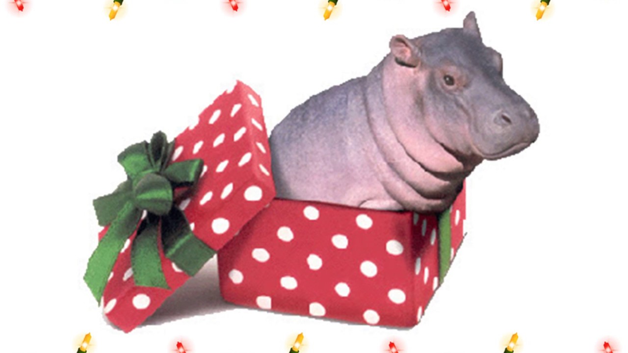 I Want a Hippopotamus for Christmas (Accomp)