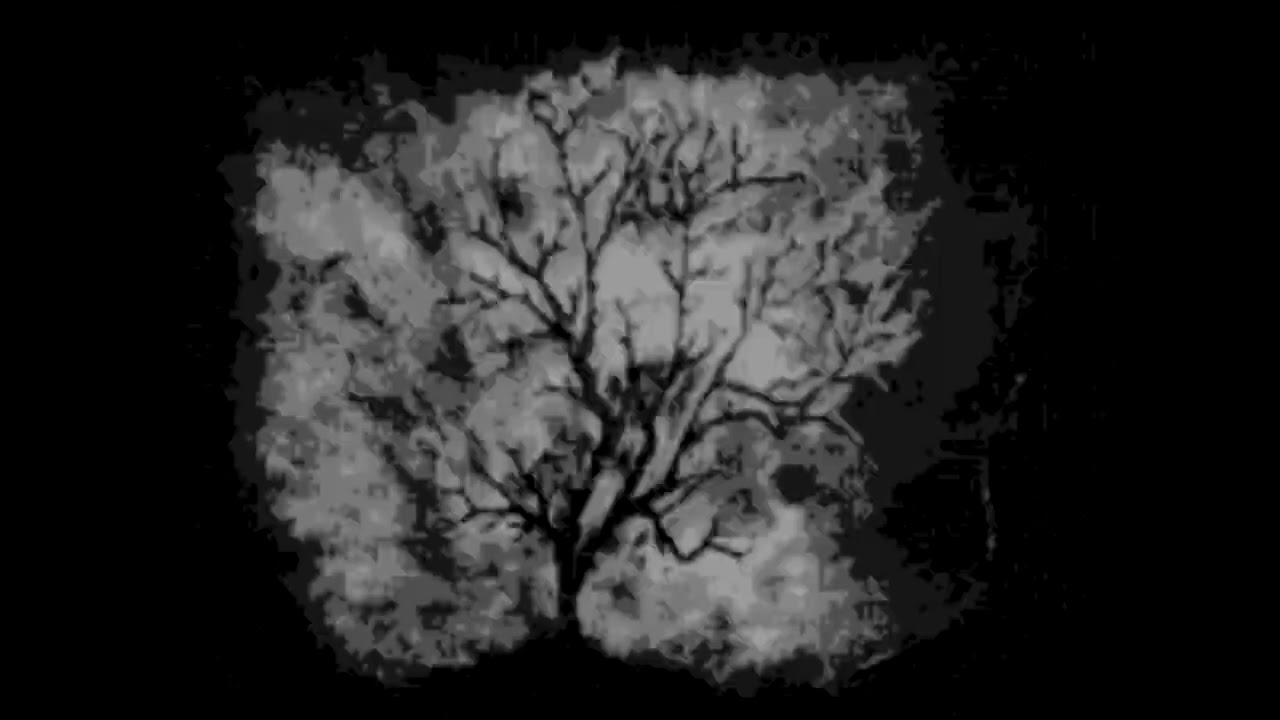[FREE FOR PROFIT] GHOSTMANE X SCARLXRD TYPE BEAT "TWEAKED MENTALLY"