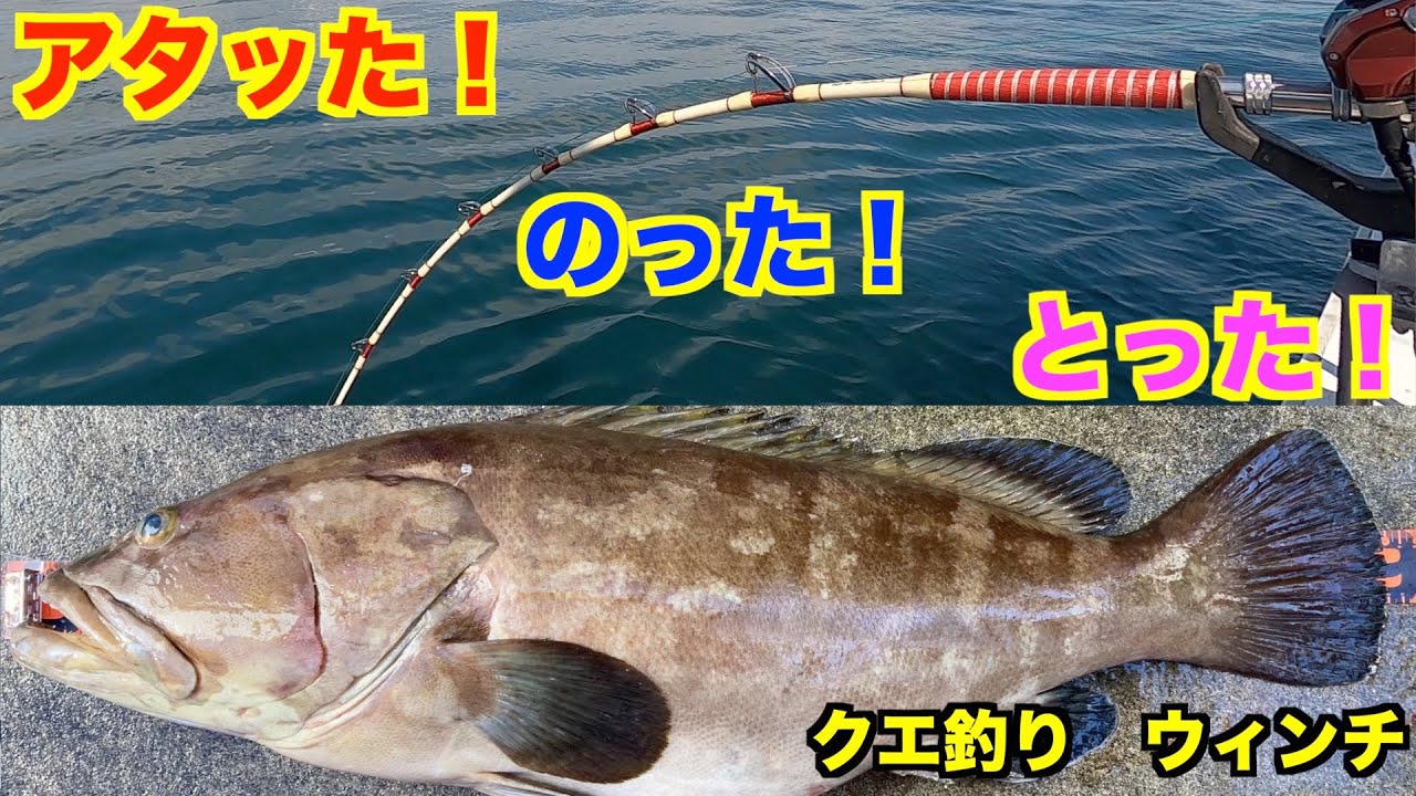 【クエ釣り】アラのアタリから取り込みまで久しぶりにクエをゲット！