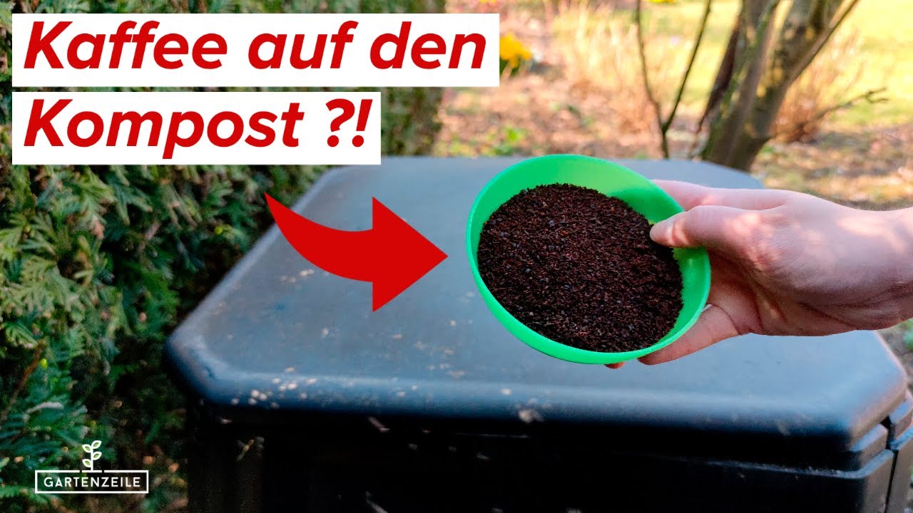 Darum solltest du Kaffeesatz auf deinen Kompost werfen! ABER: Vermeide diesen Fehler!