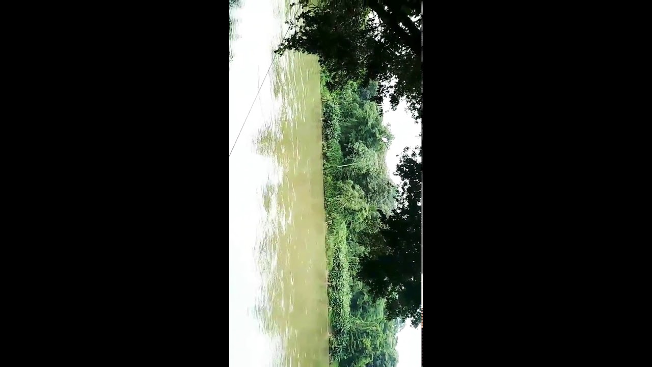 R&iacute;o San Carlos, Boca tapada. COSTA RICA 🇨🇷