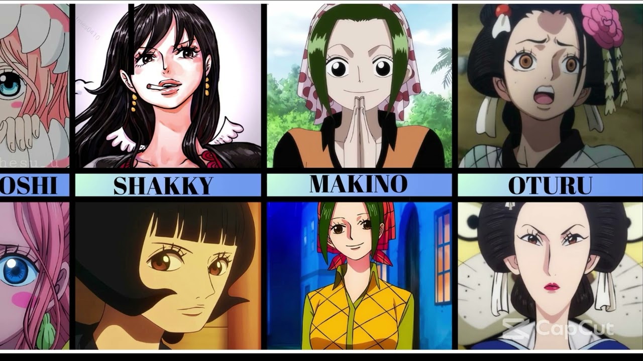 Before and After Female Characters in One Piece |OP DATA COMPARE|