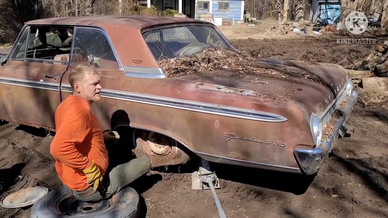 Abandoned Cars Rescued from the Woods! 1950 Plymouth sedan & 1962 Ford Galaxie 500 Rusty Relics!