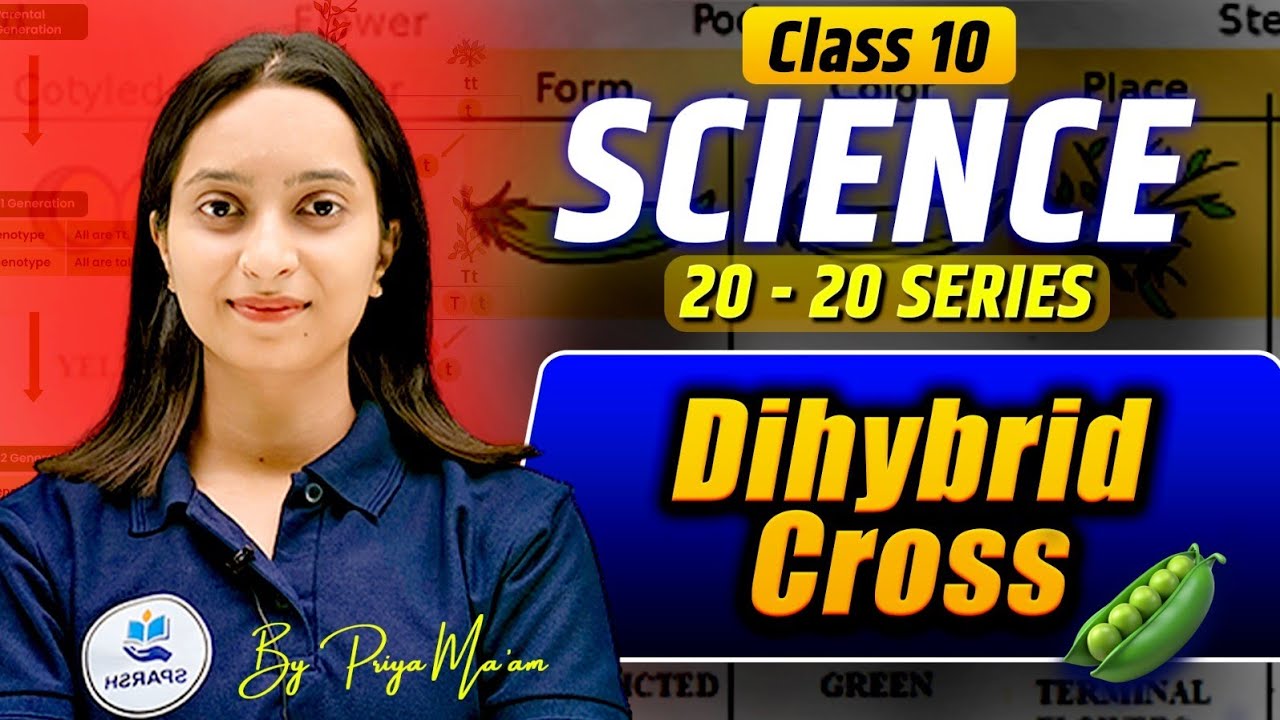 Dihybrid Cross Explained with Punnett Square  | class 10th biology quick revision.