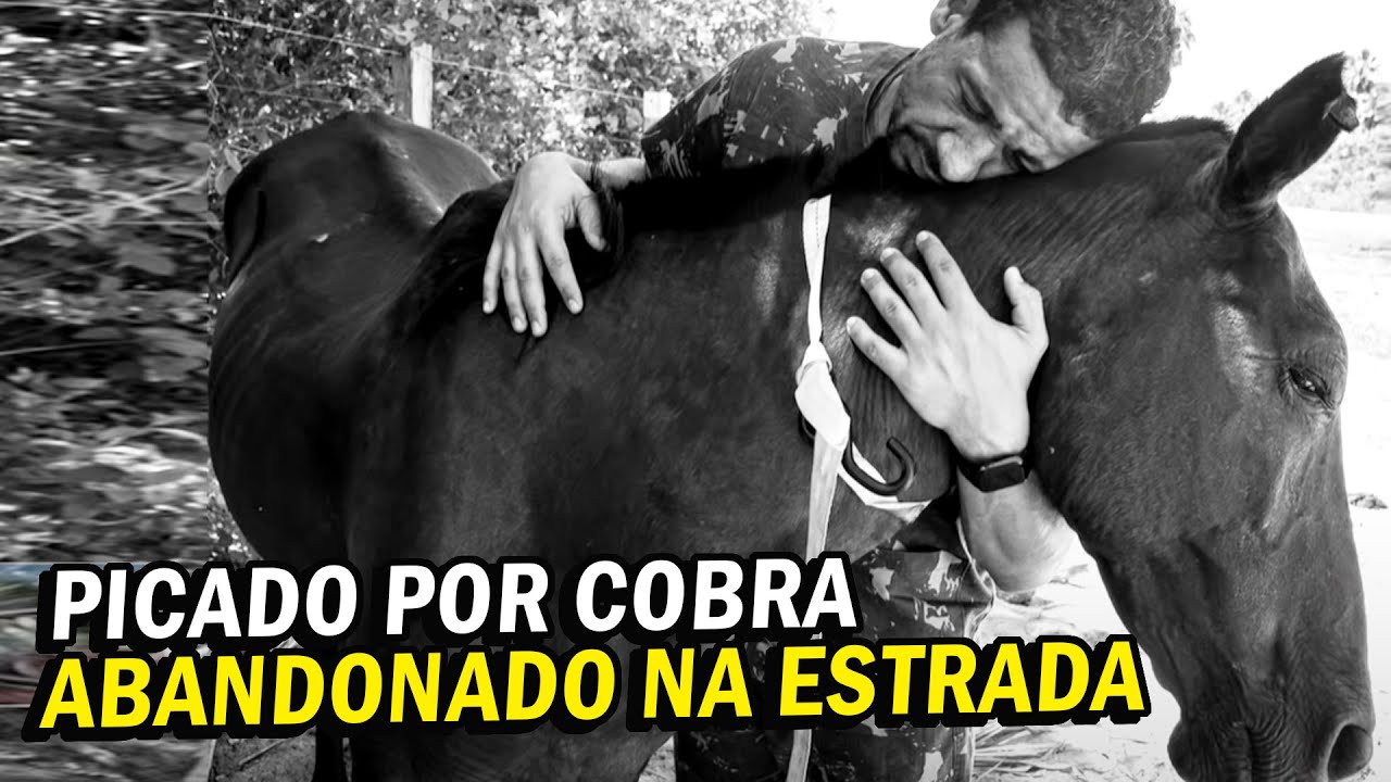 RESGATE DE CAVALO QUE ESTAVA M0RREND0 - Horse Rescue That Was Dying