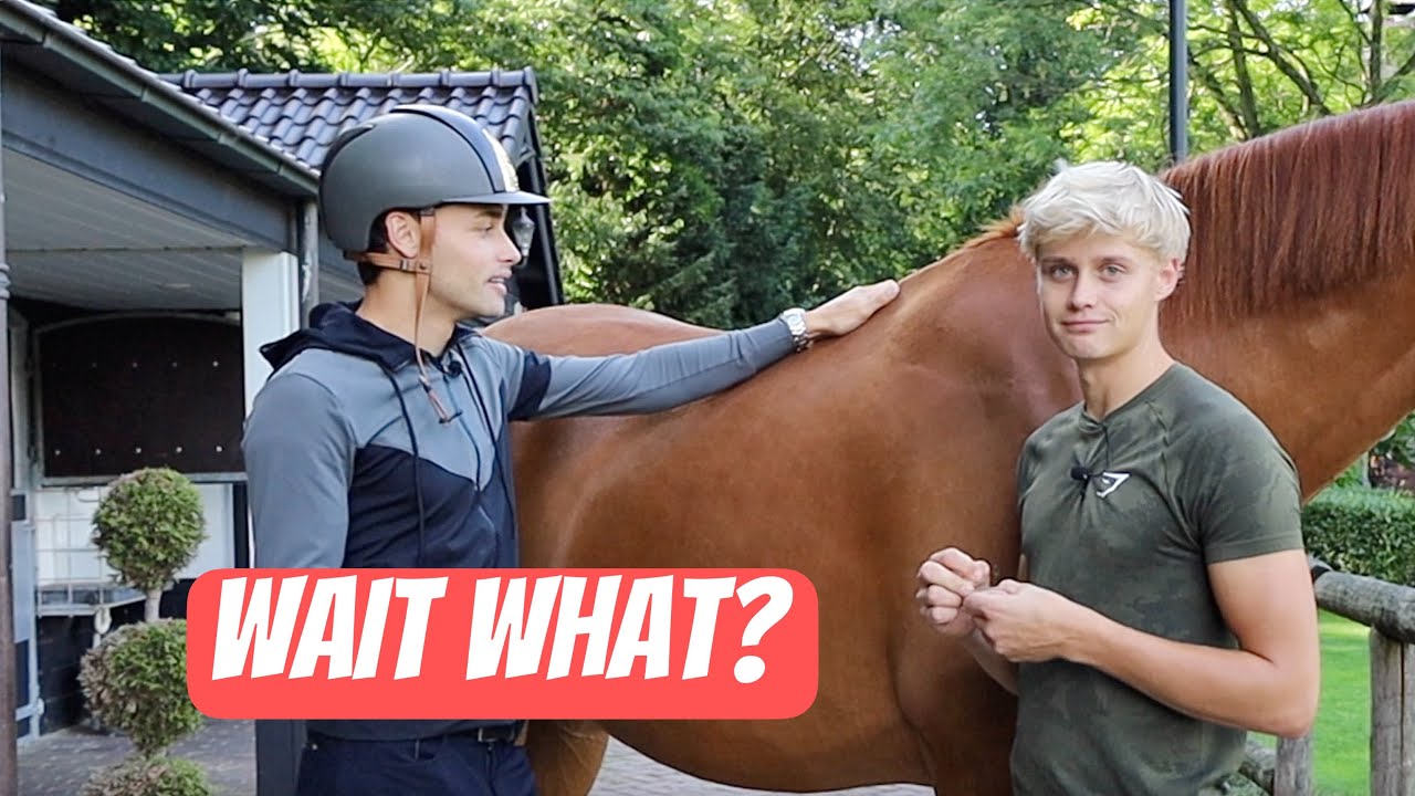 TURNING MY RETIRED DRESSAGE HORSE INTO A COMPETITIVE SHOWJUMPER