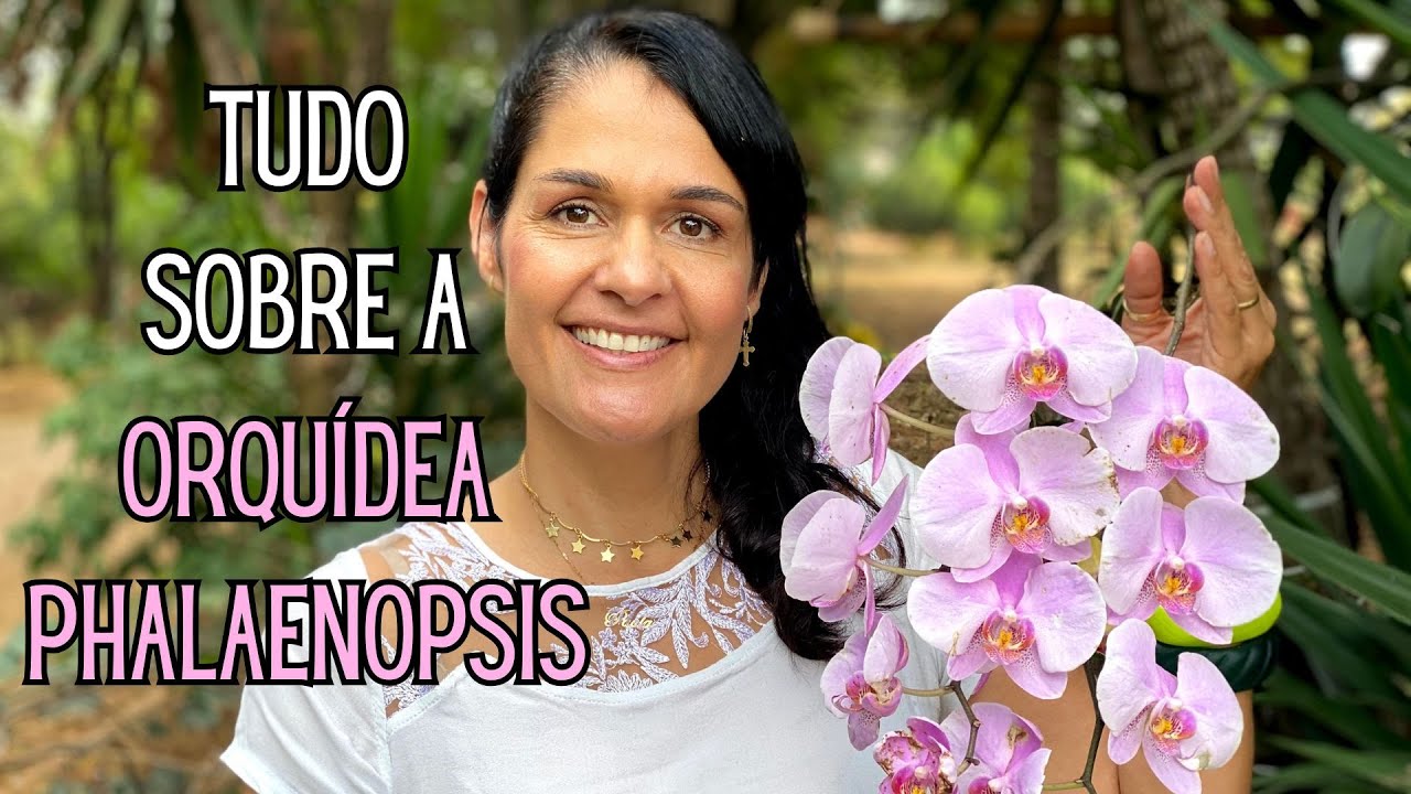 ORQUÍDEAS: Faça sua Orquídea Phalaenopsis florescer MUITO!