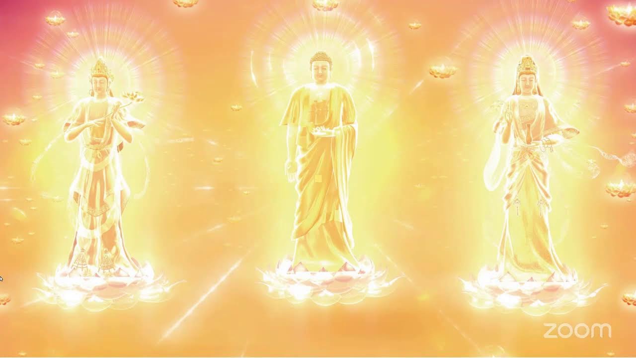Daily Nianfo Meditation