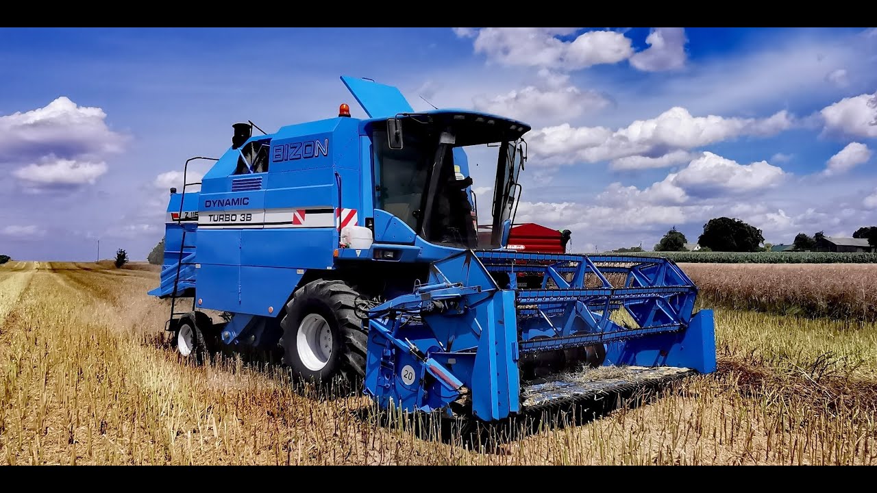 Bizon Dynamic Z115 w akcji Rzepak 2023