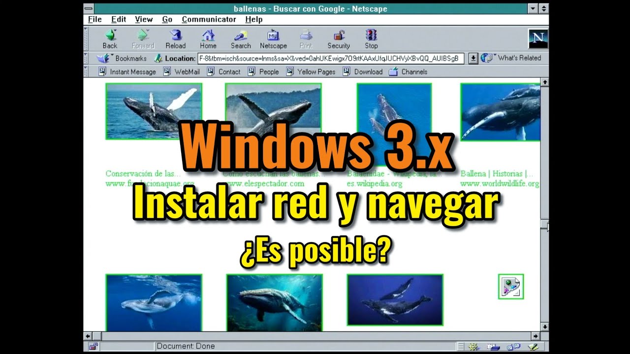 Navegar por Internet con Windows 3.11: instalaci&oacute;n, red TCP/IP (tarjetas PCI y PCMCIA).
