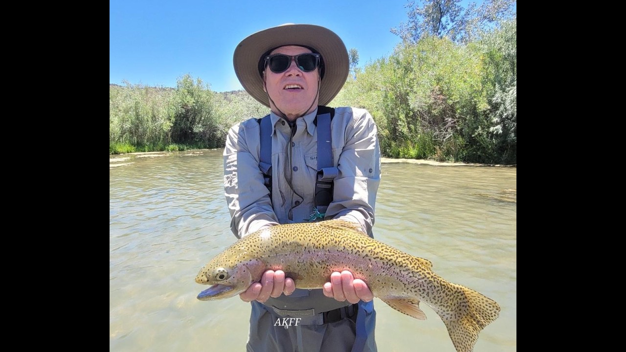 San Juan River Fishing Report July 2026 Trout Inhales the Right Fly Everyday!