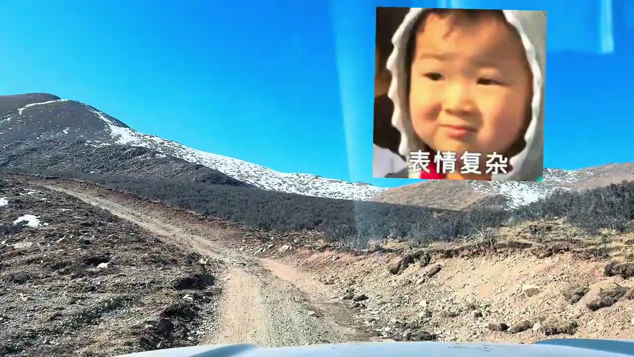 两个穿越小白+1台国产神车=干翻川藏中线麦当劳魔鬼线！4800垭口开到哭，直呼再也不敢了，哈弗猛龙：这锅我背！》