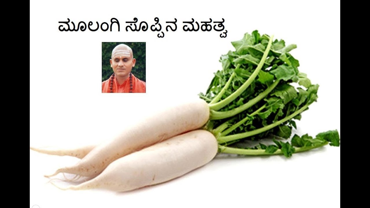 ಮೂಲಂಗಿ ಸೇವೆನೆಯ ಉಪಯೋಗಗಳೇನು? Shri Shri Basavananda Swamiji - Benefits of Raddish | Saral Jeevan