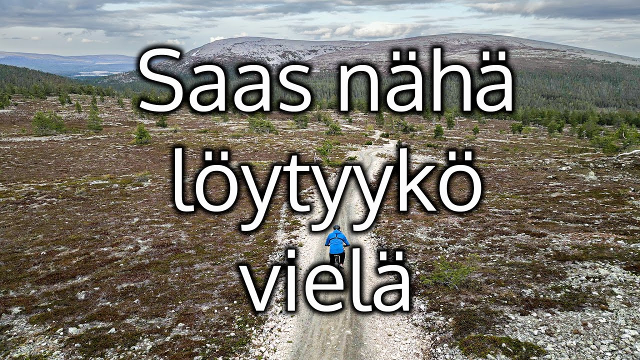 Droneani etsimässä