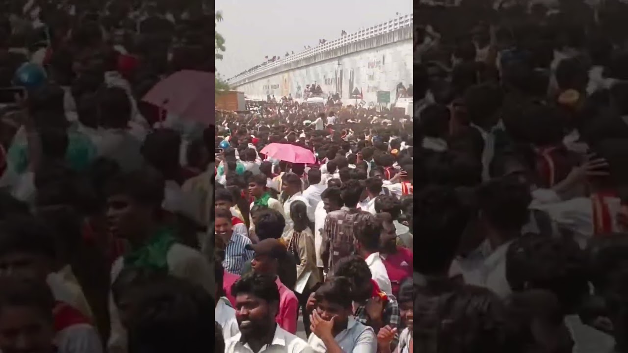 Today TVK Vijay manadu in Nellai KTC NAGAR #rider5153 #tvkvijay #tvk #nellai
