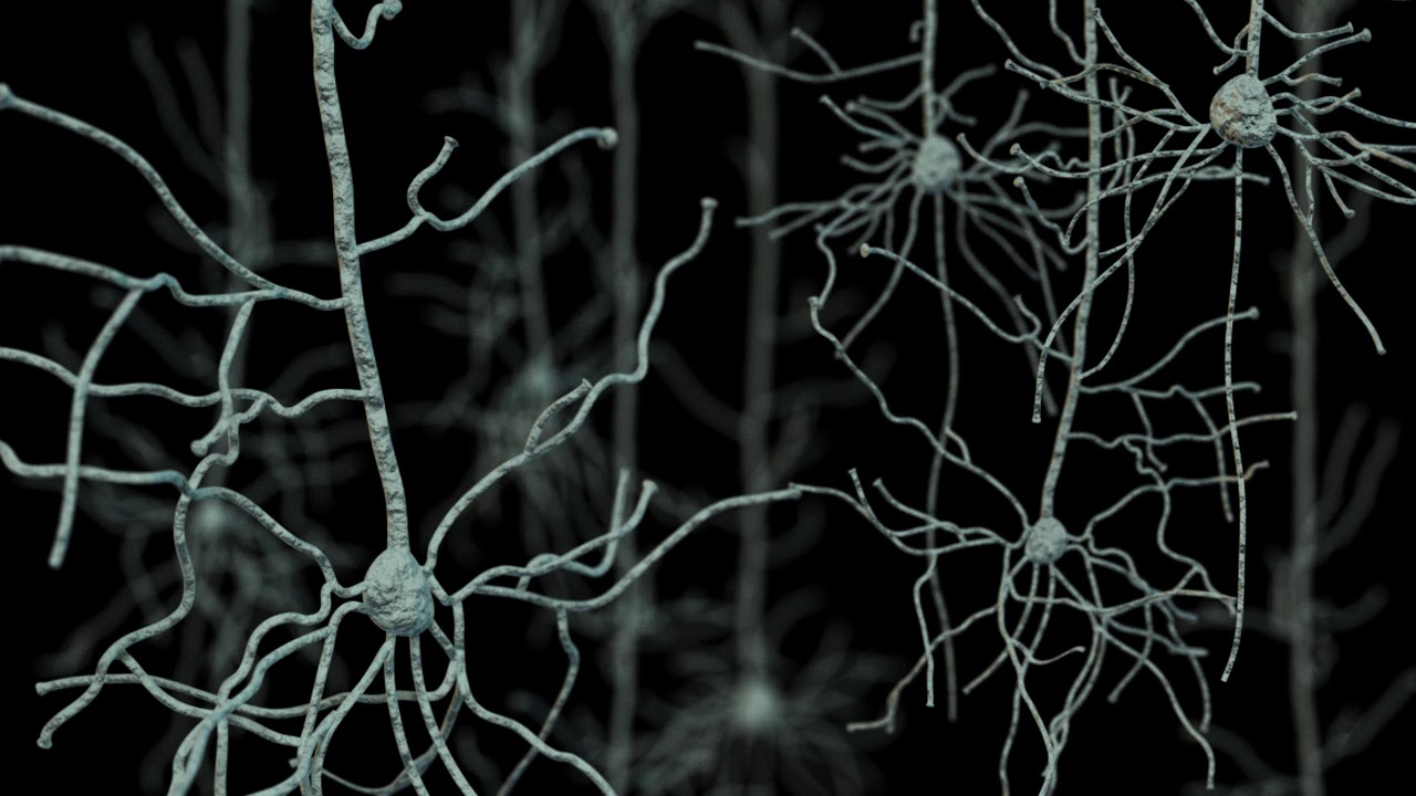 Neuromusik - version TTX -