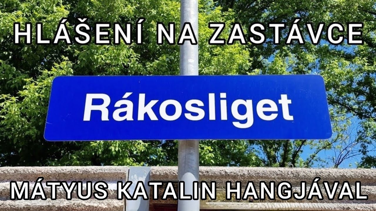Hlášení / Hangosbemondás - Rákosliget (Mátyus Katalin)