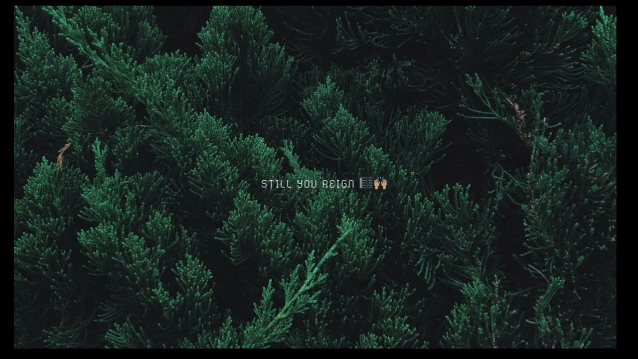 Still  You Reign 🎵🎼🎶🎹🎸🎤❤️✨