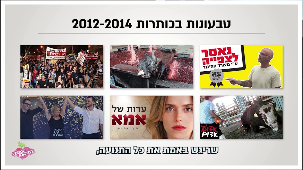 עמרי פז - עתיד הטבעונות 2025