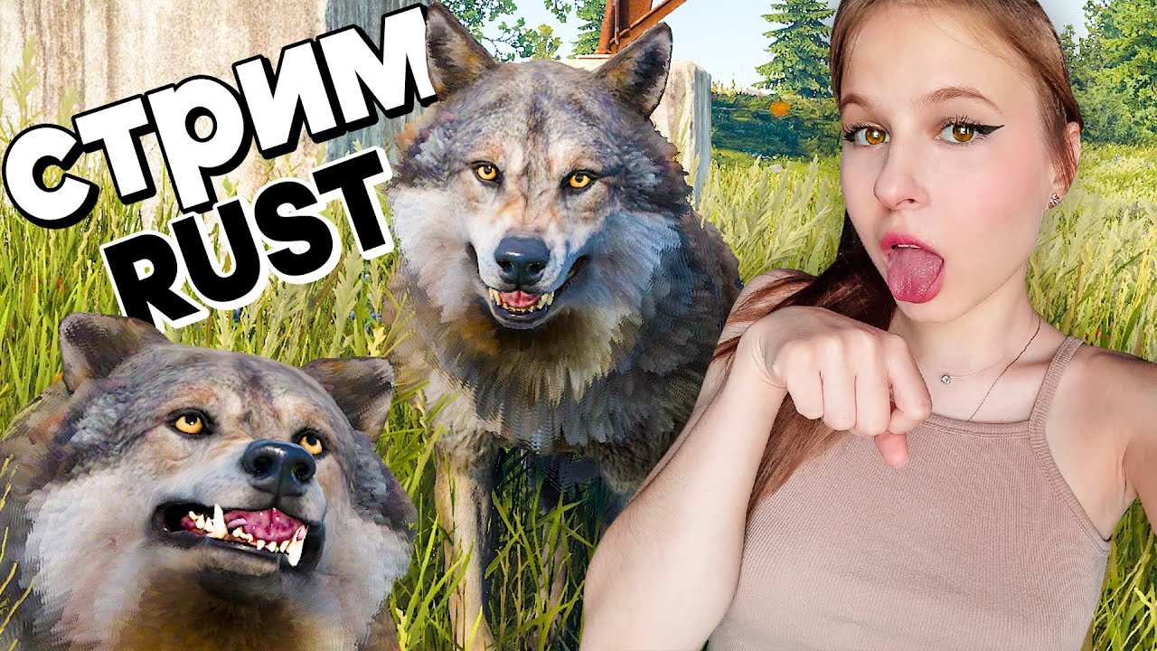 Стрим по RUST! Ты решаешь сколько мне сегодня стримить РАСТ!