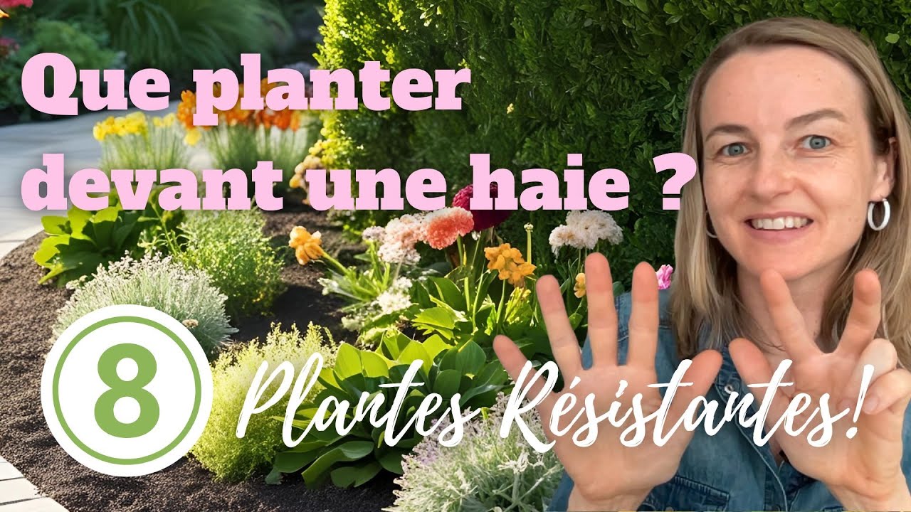 Que planter devant une haie ? 8 jolies plantes résistantes