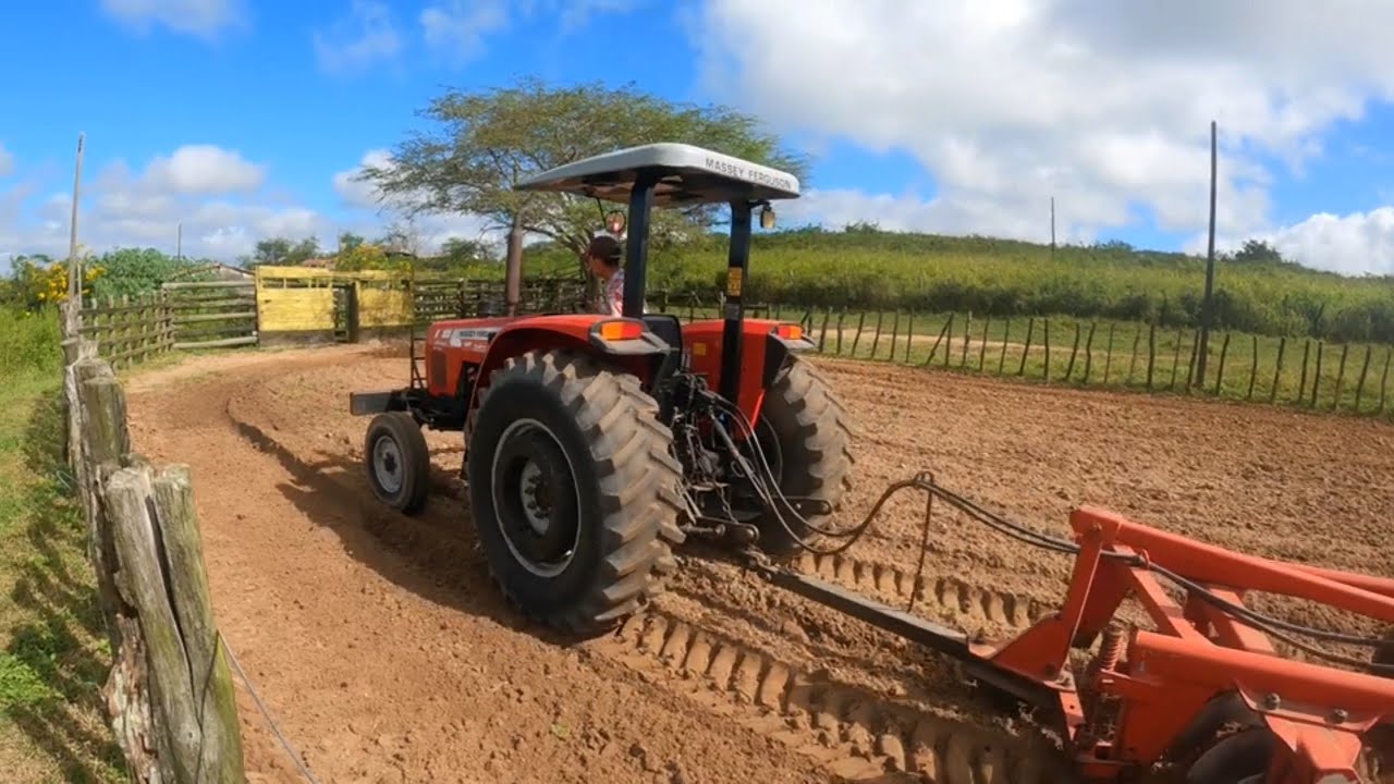 Trator MF 283 passando a grade no antigo parque de vaquejada de francisquim Medeiro em araruna pb
