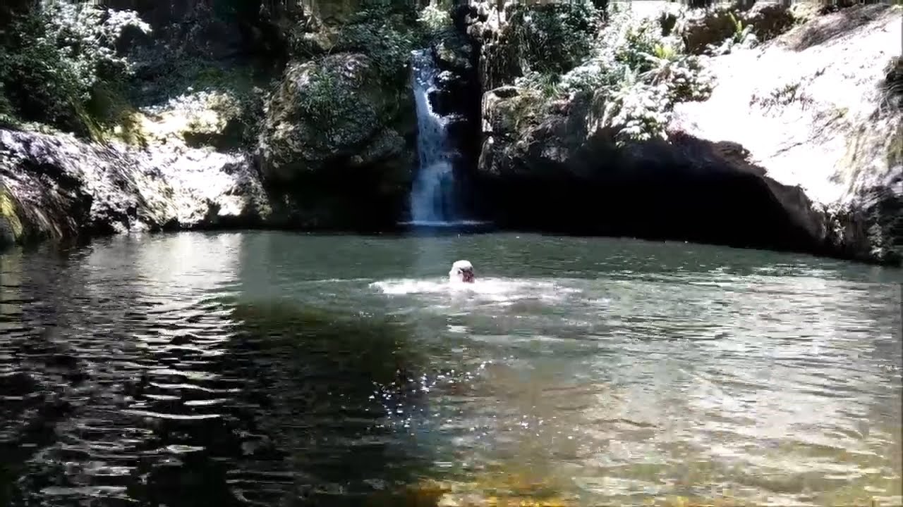 Potoroo Falls and Rawleys Rock Lookout - Tapin Tops National Park, NSW