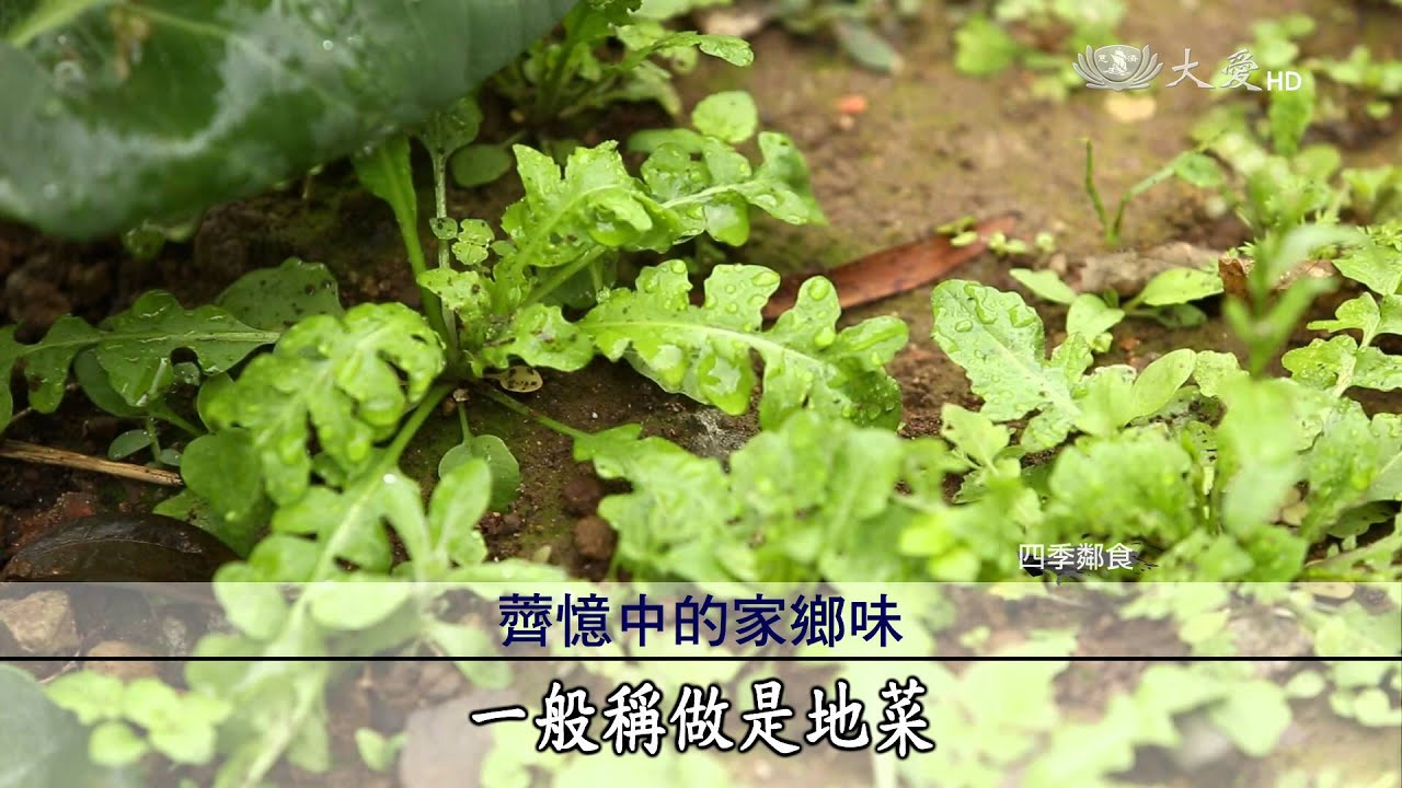 【蔬果生活誌】20150614 - 醫生兄弟的中西養生術