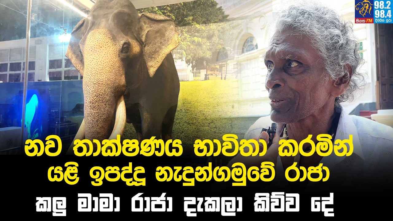 නව තාක්ෂණය භාවිතා කරමින් යළි ඉපද්දූ නැදුන්ගමුවේ රාජා. ගැන කලු මාමා රාජා දැකලා කිව්ව දේ