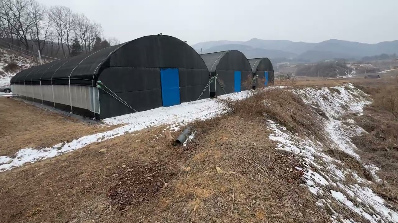 농장 지역 순찰 (ft.순이)