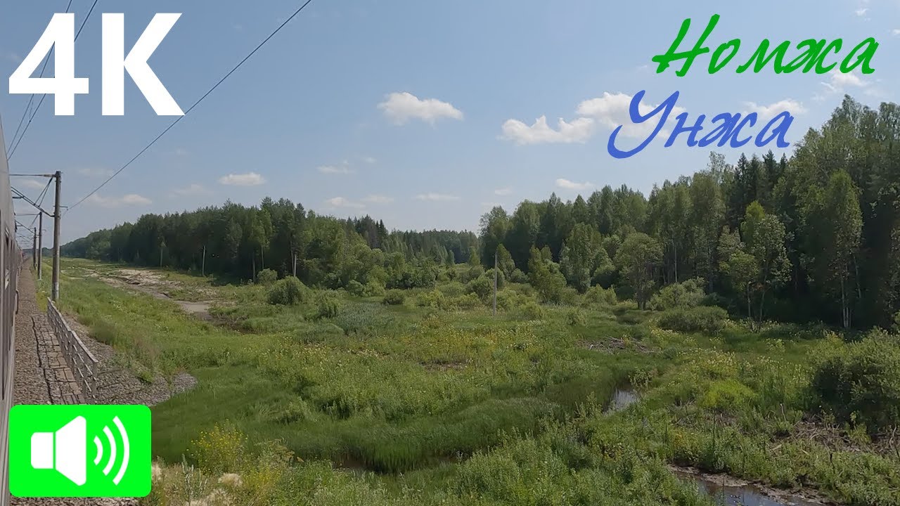 Через густые леса Костромской области. Номжа - Унжа из окна поезда