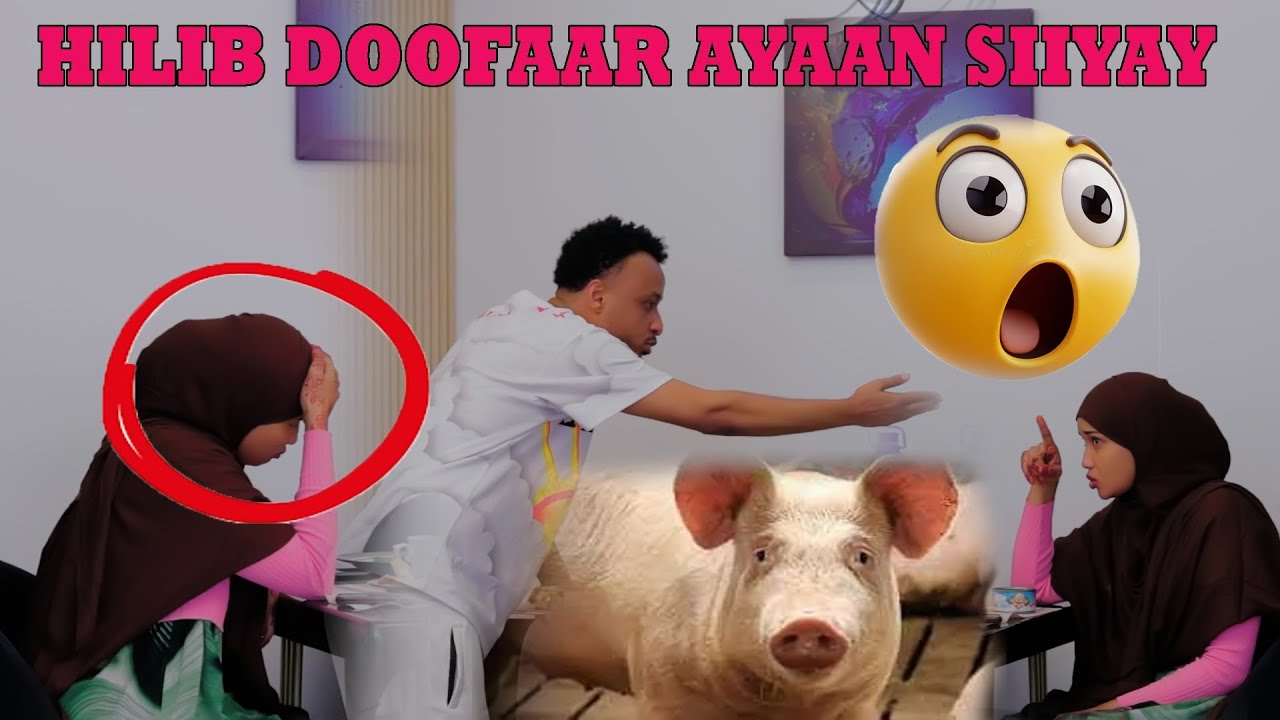 HILIB DOOFAAR AYAAN SIIYAY_ SI XUB AYEEY U XANAAQDAY HAMDI SORRY