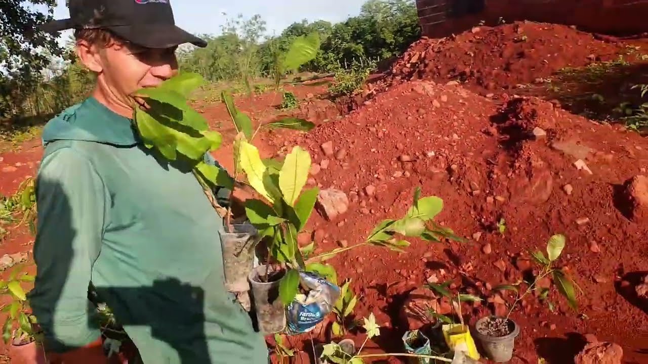 O TEMPO DE PLANTAR CHEGOU...