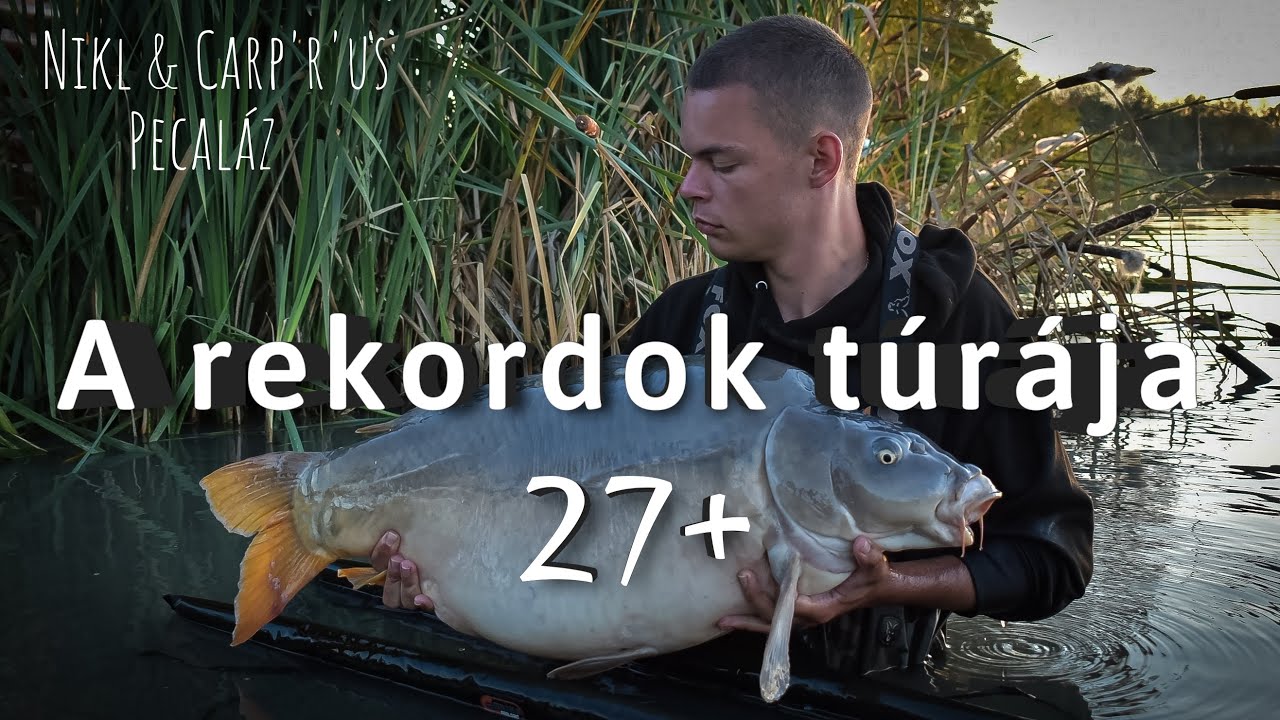 10 db 20 kg Feletti Hal | Rekordok Túrája a Tokaji Kovács tavon...!💥😱