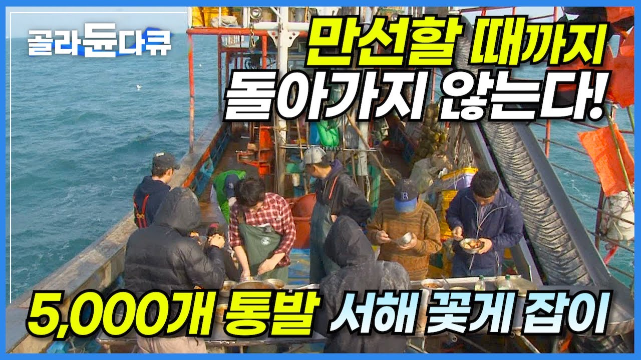 '5,000개 통발 투하!' 바다에 오른 어부는 만선하기 전까지 돌아갈 수 없다!│불철주야 바다 위 280시간!│만선의 꿈을 던진다, 서해안 만선 꽃게 잡이│극한직업│#골라듄다큐