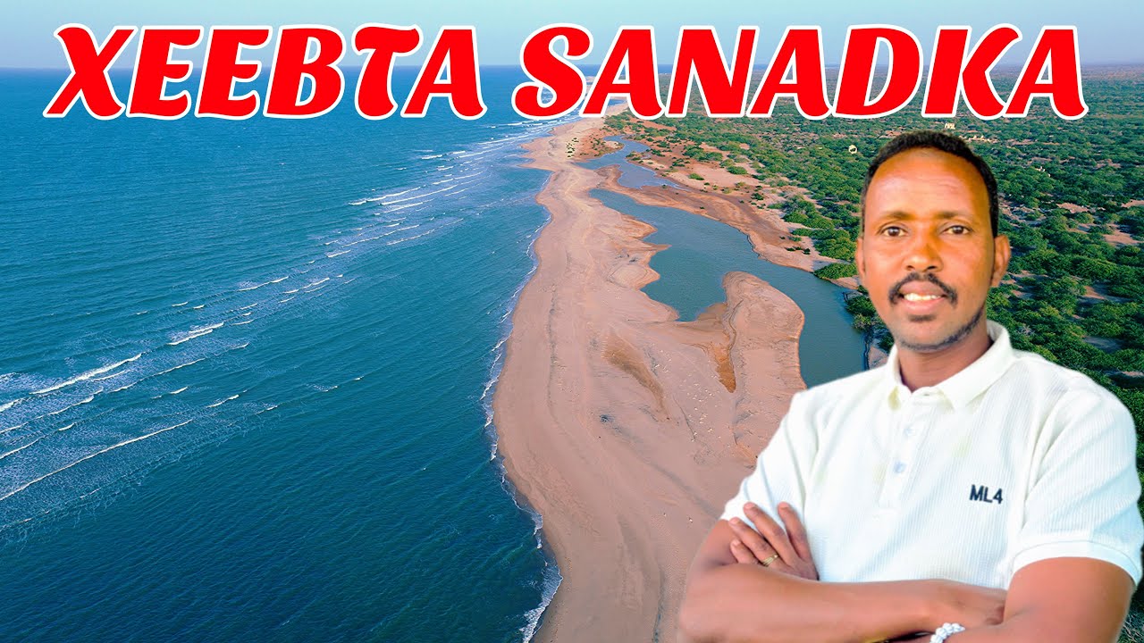BULLAXAAR 