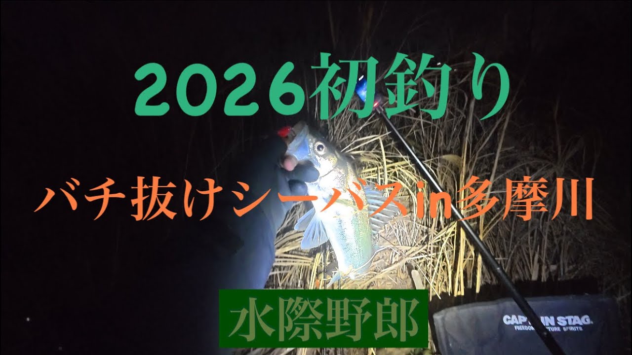 2026新年1発目の釣りはシーバス釣り！簡単！？バチ抜けシーバスの釣り方。【多摩川】#ルアーフィッシング #バチ抜け 