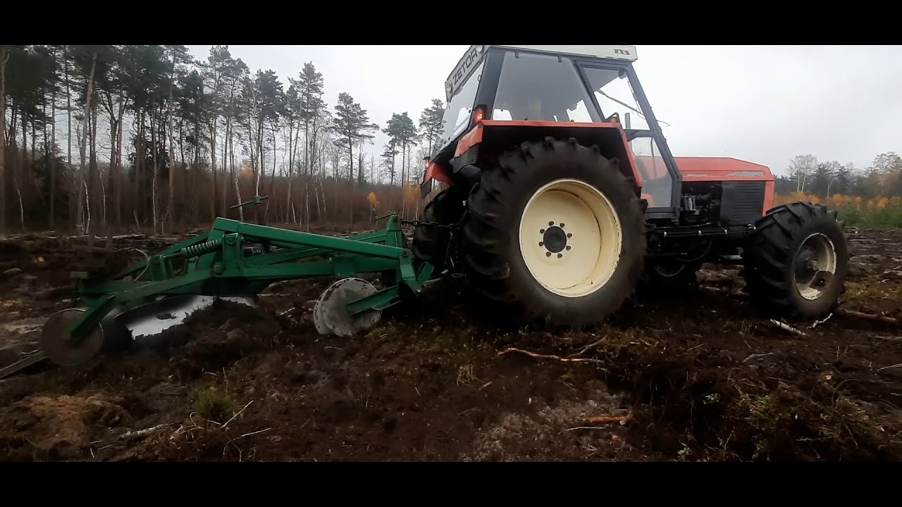 MIX prac leśnych 2020