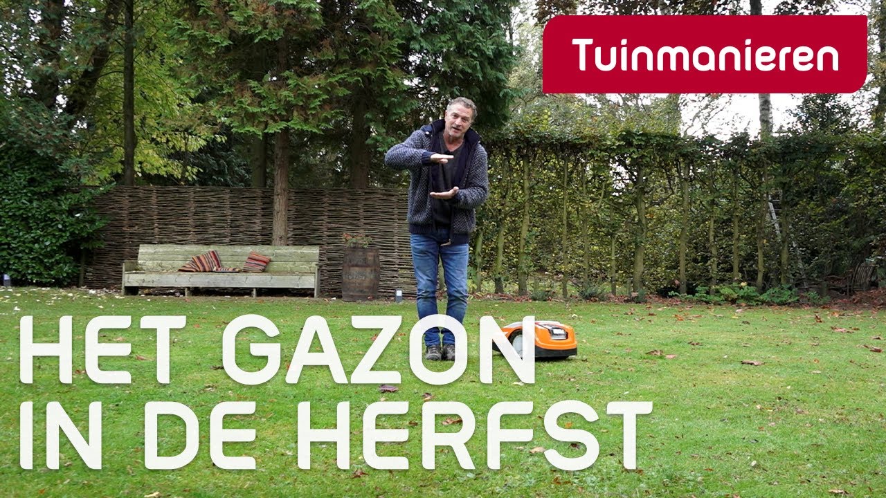Wat te doen met het gazon in oktober, november | Herfst | Tuinmanieren