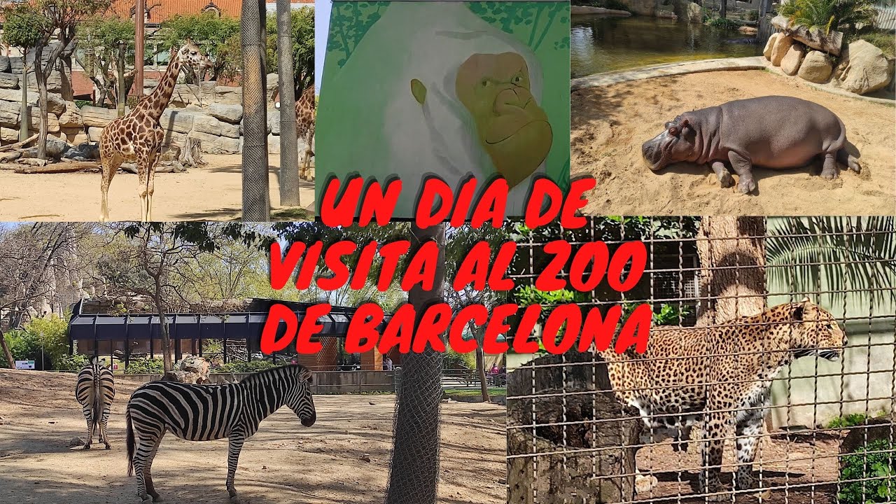 ZOO BARCELONA , un dia de visita con los animales.