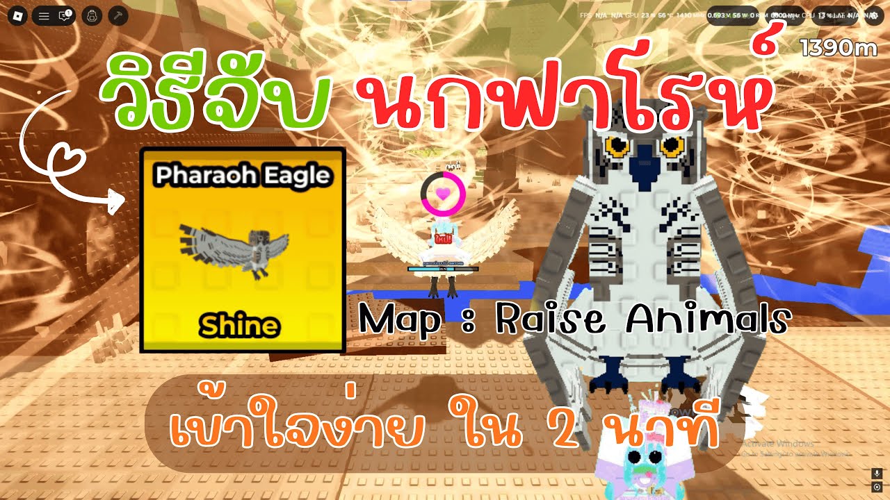 วิธีจับนกฟาโรห์ เข้าใจง่าย ใน 2นาที ! | Roblox Raise Animals