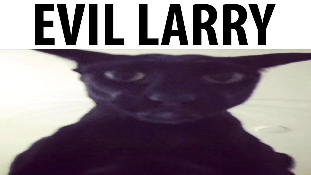Valo now horror game done   #livestream #gaming #facecam #mortuaryassistant