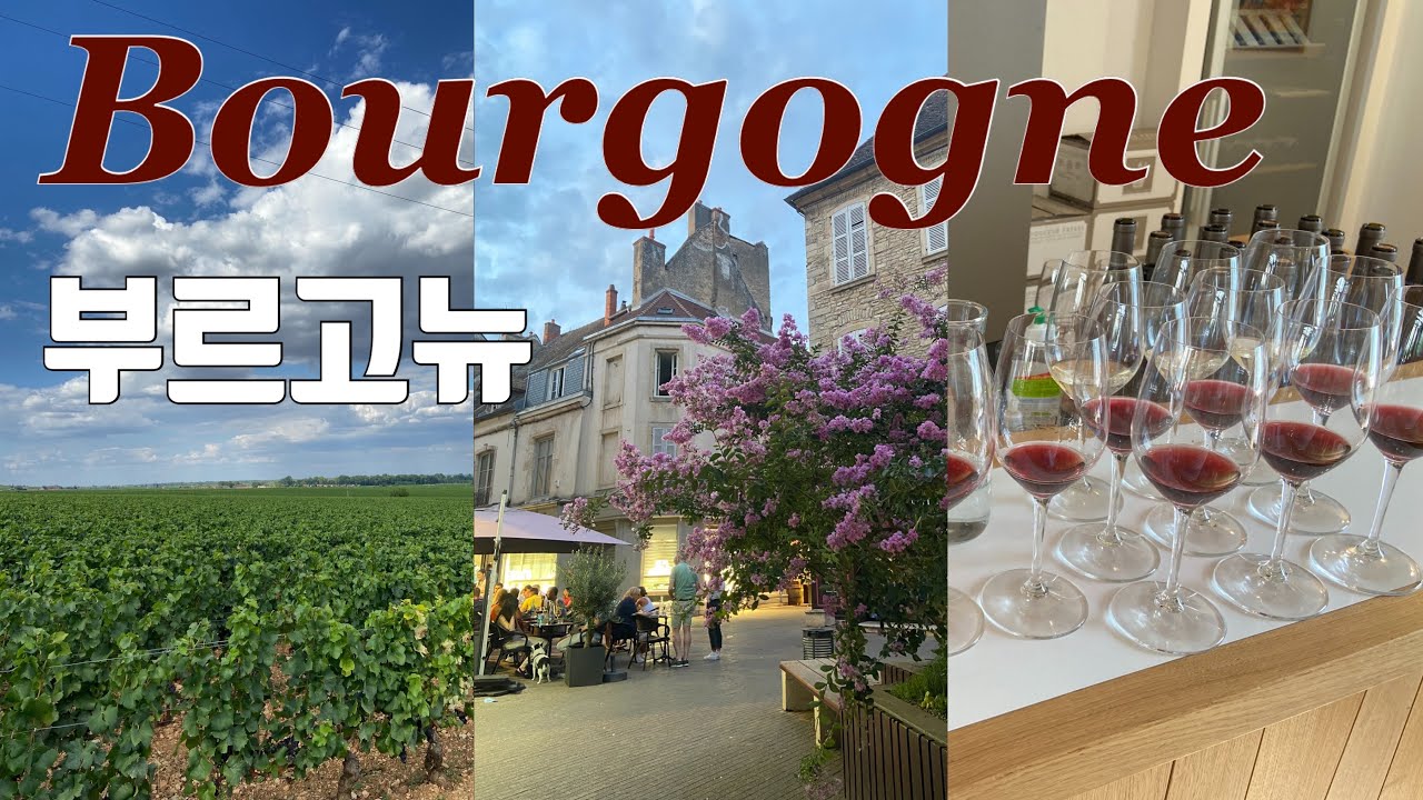 🇫🇷부르고뉴 여행 그리고 와인 🍷 뫼르소, 뉘상조르쥬, 본, 본 로마네 + 머스타드!