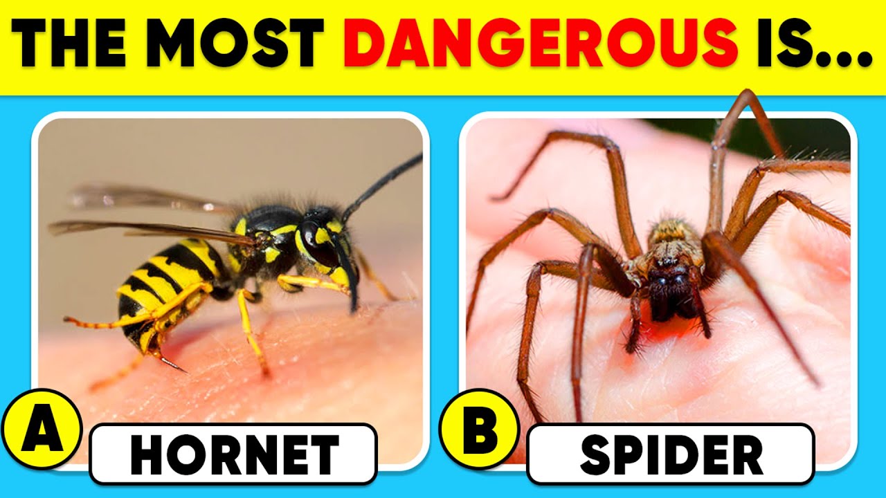 How Good Is Your Knowledge of ANIMALS? 🐝🕷️🧠✅ General Knowledge Trivia Quiz