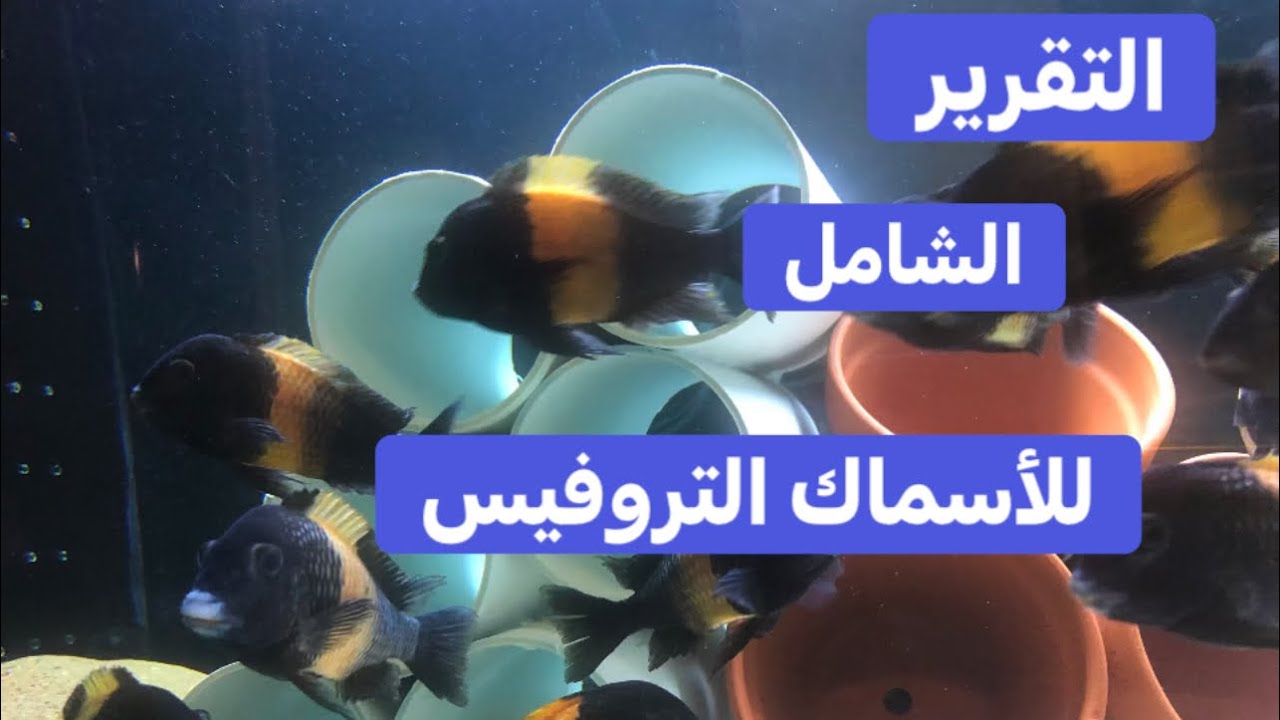 التقرير الشامل للأسماك التروفيس من بحيرة تنجنيكا