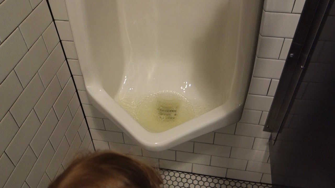 Toilet Tour: Chatwicks Alexandria, Virginia