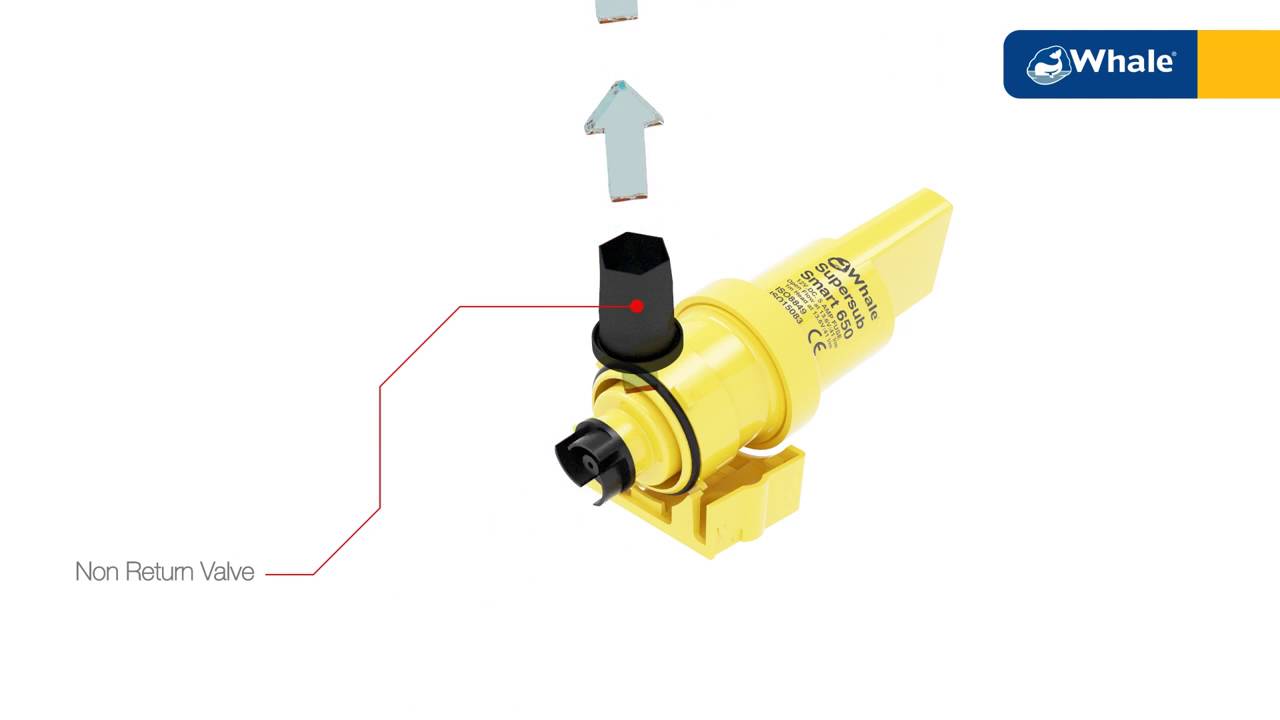 Whale Supersub Smart Pump