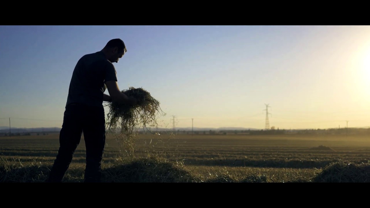 Epic Harvest Żniwa Milikowice Sezon 2018